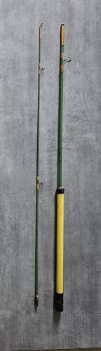 Canne pêche tortue en - pêche,