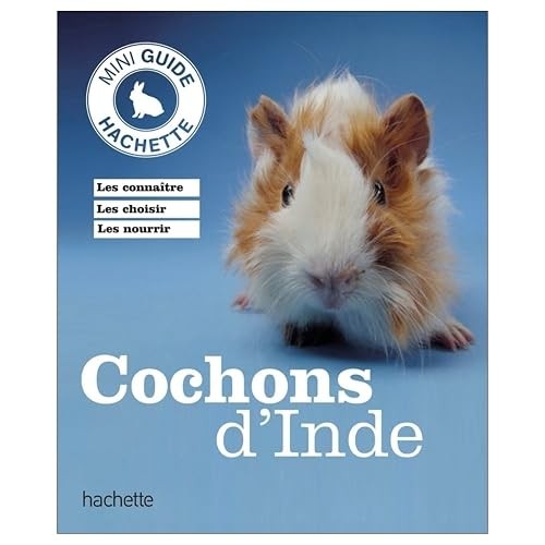 Cochon inde birmelin - cochon, d'inde