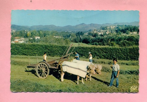 Pays basque attelage - au,