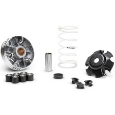 Set Variateur MALOSSI Multivar
