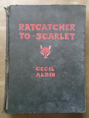 Ratcatcher scarlet cecil - to,