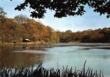 62-CLAIRMARAIS LE LAC D ARCHELLE-N� 4446-A/0207