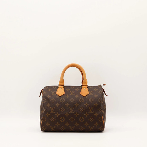 Sac main louis vuitton - main,