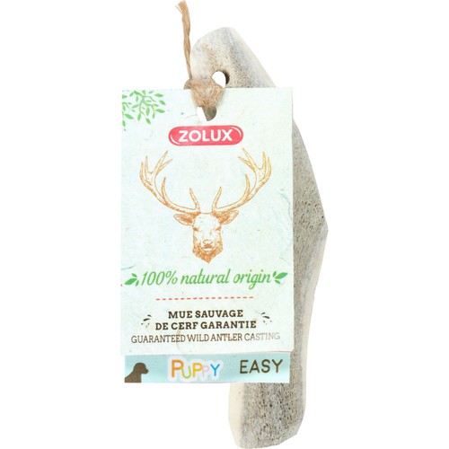 Bois cerf biseauté xxs - cerf,