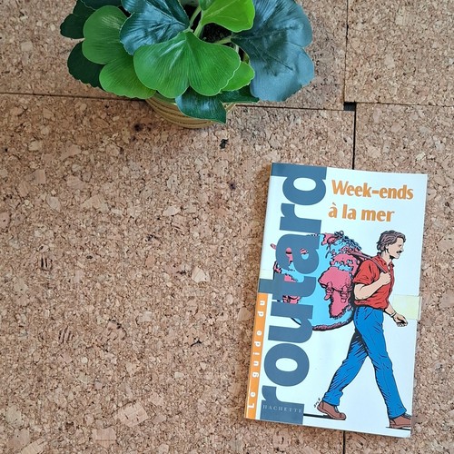 Hachette guide routard - guide,