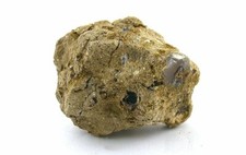 34.81 Gram 1 3/4 Inch Denio Nevada Silica Opal Bentonite Specimen CS245