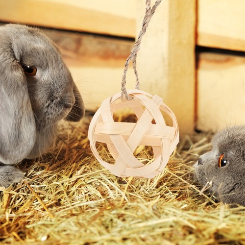 Cage lapin suspendu - cage,