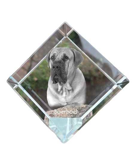 Boerboel dé coudre avec un - dé,