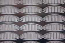 FQ 2 ex grille calandre 15*5