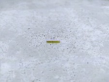 1/18 Front Right Wing Rod Lincoln Town Car Limousine 1999 Sunstar