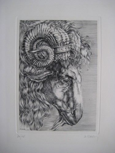 Dautry marc gravure signée - 73,