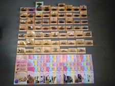 Collection de Chats Éditions