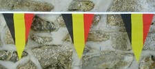 Bruant de drapeau belge de 5 m