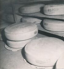 CHEESE CELLAR c. 1950 - Grinding wheels of Gruyère Jura - DIV8916