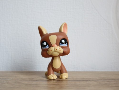 Littlest petshop boston - petshop,