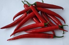 PIMENT ESPAGNOL 30 GRAINES