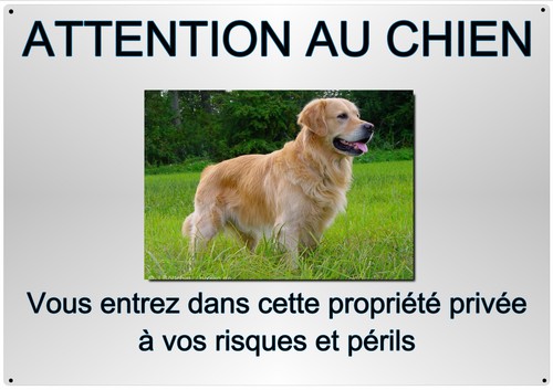 Plaque chien golden - golden, retriever