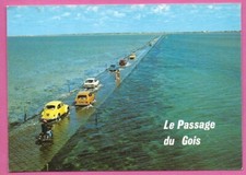 Vieilles voitures et moto : VW