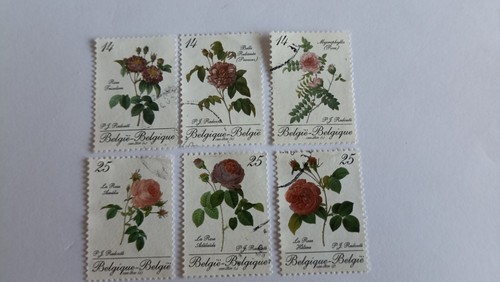 Belgique thematique flore - belgique,