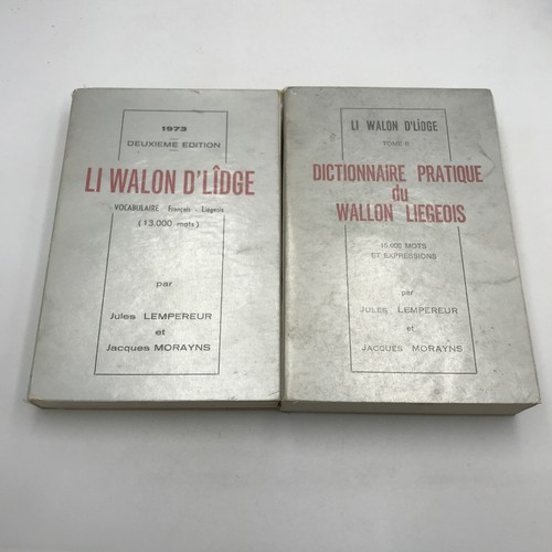 Dictionnaire pratique wallon - dictionnaire,