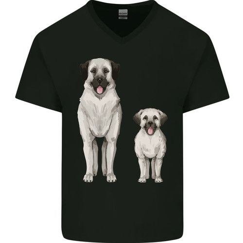 Berger anatolien chien - berger, et