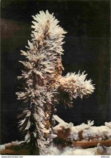 34 - Hérault - Cave of Clamouse - Stalactite with calcite crystals - Caving