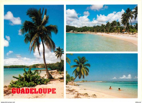 Carte postale guadeloupe - -,