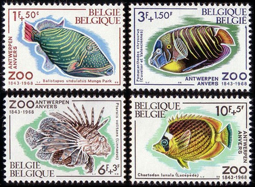 Belgique 1470 1968 125e - -,