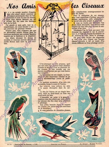 Decoration cage oiseau sels - decoration,