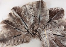 18 Antique Large Ostrich Feathers for Hats / Headdress / Fans