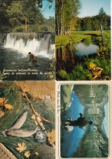 Lot of 4 Postcards Postcards Fishing Fishing Trout