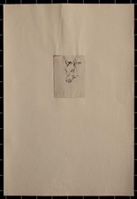 Joseph Simon Volmar Head of a Donkey Ink Drawing