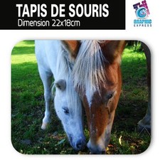 TAPIS DE SOURIS CHEVAL CHEVAUX POULAIN JUMENT ANIMAUX CH-03