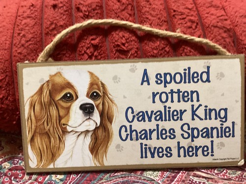 Spoiled rotten cavalier king - spoiled,