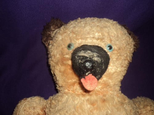 Ancien ours peluche - ours,