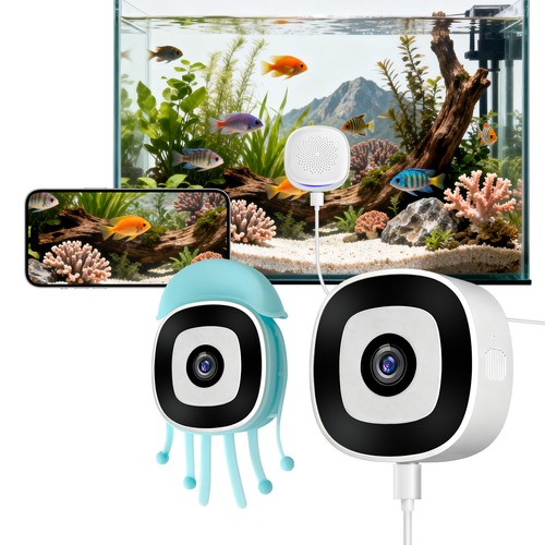 Aquarium terrarium pet - &,