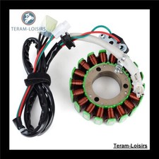 Stator Allumage pour KTM