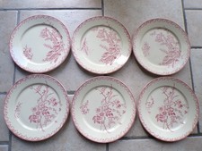 6 Antique Sarreguemines Field Flowers Pexonne Plates