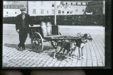 OSTENDE MARCHAND DE LAIT