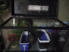 Aquarium 60 litres pack