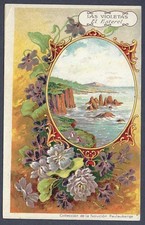 Solucion Pautauberge lotion - advertising postcard - El Esterel chromolitho
