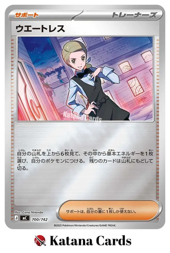 Cartes pokemon serveuse - ex/nm,