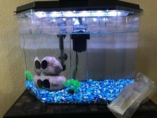 aquarium tank and accessories
