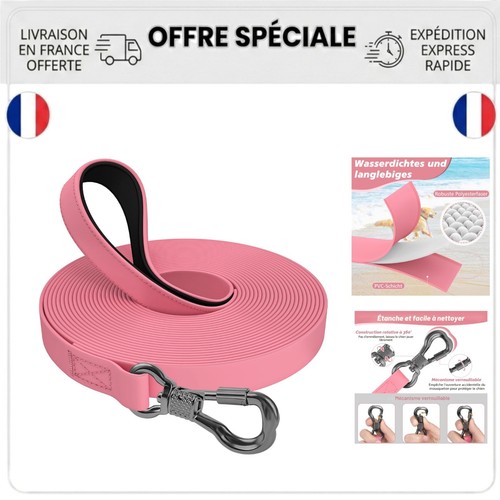 Longe chien x - chien, m