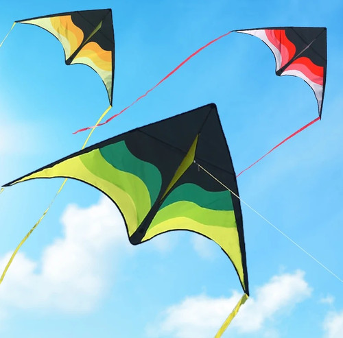 1pc large delta beach kite - beach,