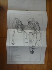 Lot 10 Military Cavalry