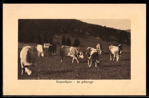 Carte postale saignelégier - postale,