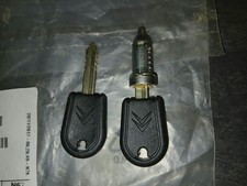 barillets de portes arrière citroen C15