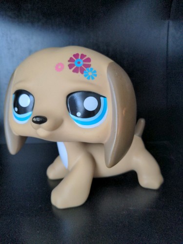 Little petshop lps - little, ☆