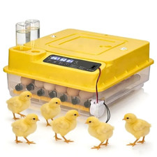 Couveuse Oeuf Automatique